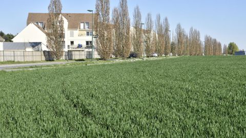 Les études faisant état d'un « lien avéré » ou d’une « présomption forte entre l’exposition aux pesticides et certaines maladies graves » se multiplient, rapporte le groupe de sénateurs.