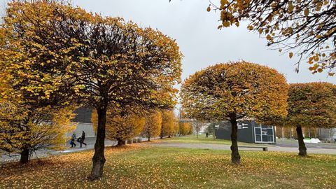 Agritechnica 2025 Diaporama Insolite