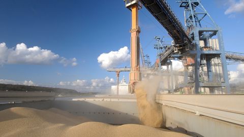 FranceAgriMer comptabilise un cumul de 3,8 Mt de blé tendre exportées sur la période juillet-septembre 2025