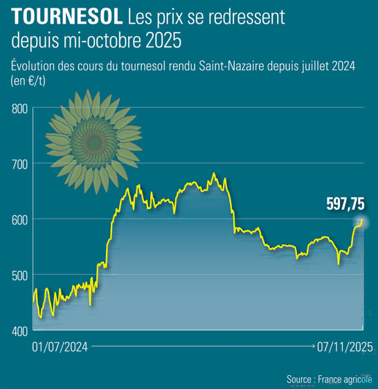 Les prix du tournesol sont fermes — free download