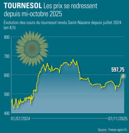 Prix de la graine de tournesol rendu Saint-Nazaire Prix de la graine de tournesol rendu Saint-Nazaire