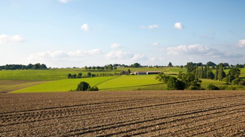 Si le bail rural se renouvelle automatiquement, quelles sont les conditions pour mettre fin à la location ?