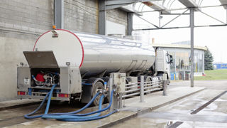 En septembre 2025, la collecte de lait de vache dépasse de 4,5 % son niveau de septembre 2024.