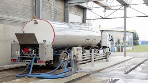 En septembre 2025, la collecte de lait de vache dépasse de 4,5 % son niveau de septembre 2024.