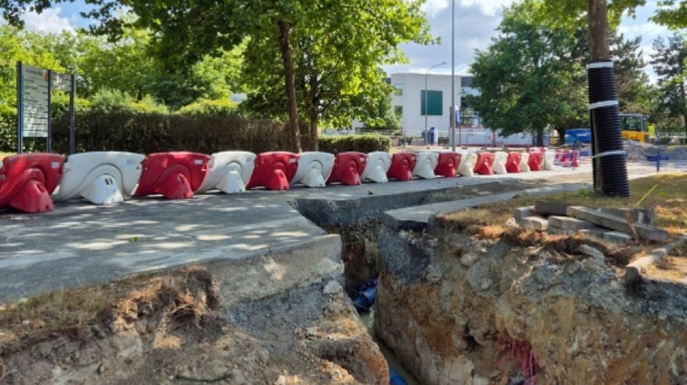 Le guide s’adresse aux gestionnaires de patrimoine (arbres, réseaux enterrés), concepteurs, bureaux d’étude spécialisés, géomètres, entreprises chargées de travaux paysagers ou encore VRD.