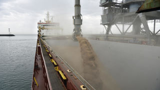 Le marché du blé européen profite d’une « bonne demande portuaire » du Maroc, de l’Égypte, mais aussi du Bangladesh ou de la Thaïlande.