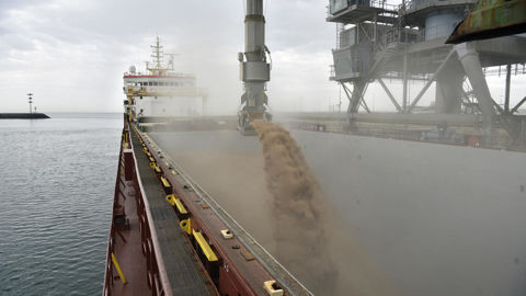Le marché du blé européen profite d’une « bonne demande portuaire » du Maroc, de l’Égypte, mais aussi du Bangladesh ou de la Thaïlande.