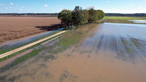 Les inondations occasionnent les dommages les plus importants à l'agriculture à l'échelle mondiale.