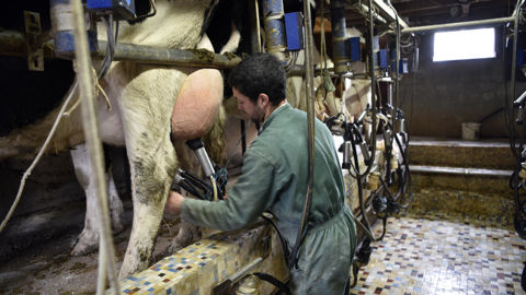 Le Cniel reconduit l'accord CVO actuel, avec un financement aux trois-quarts par les producteurs et à un quart par les transformateurs.