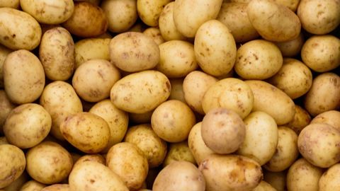 L'UNPT alerte sur le risque, individuel et collectif, de planter trop de pommes de terre pour 2026.