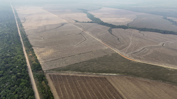 Le RDUE vise à interdire, à partir de 2026, l'importation de soja (mais aussi café, cacao, caoutchouc, huile de palme, bœuf, bois) ayant contribué à la déforestation depuis 1er janvier 2020.