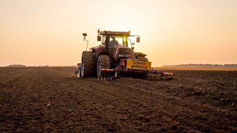 Trois agriculteurs font part de conditions de semis globalement bonnes pour les céréales à paille 2025/26.