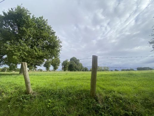 Un voisin ne peut pas utiliser, appuyer ou modifier une clôture sans autorisation du propriétaire, sauf si la clôture est mitoyenne.