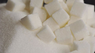 Les prix du sucre sont actuellement très bas, entre 14 et 15 cents par livre contre environ 20 il y a un an.