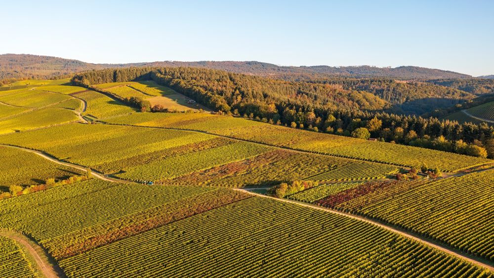 Dans le contexte actuel peut-on renforcer la dimension écologique de la Pac ?
