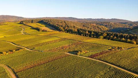 Dans le contexte actuel, peut-on renforcer la dimension écologique de la Pac ?