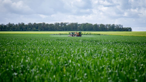 La génétique a évolué et offre un levier intéressant grâce aux résistances aux maladies fongiques, ce qui permet de lever le pied sur les doses de produits épandues.