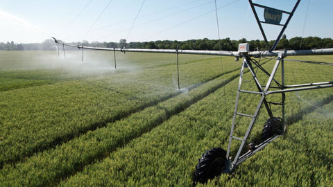 Le bassin Adour-Garonne est la zone où l'agriculture est la plus gourmande en eau par rapport à la consommation locale.