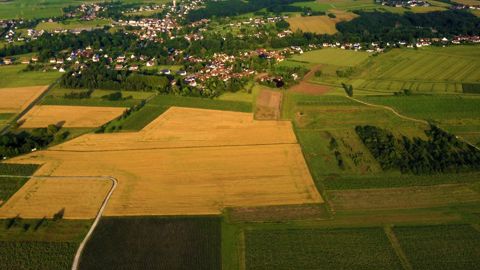 En l'absence de contrat écrit, c'est le régime du bail rural type départemental qui s'applique automatiquement.