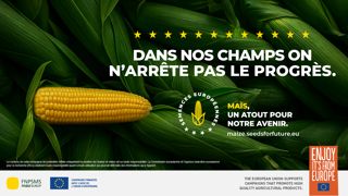 Semences de maïs : 40 ans d’adaptation face au changement climatique