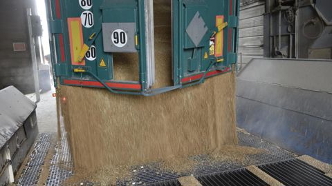 « En 2023, les charges étaient trop élevées. En 2024, les rendements étaient trop mauvais. Et en 2025, les prix sont trop bas », résume Oscar Godin, du pôle économie et systèmes multiperformants chez Arvalis.