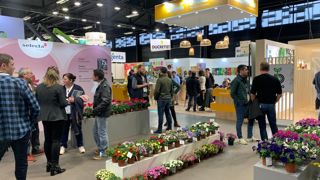 L'horticulture ornementale est de plus en plus présente sur le salon angevin Sival, qui lance l'année chaque janvier (photo d'archive 2024).
