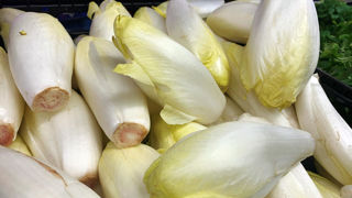 Les volumes d'endives parviennent à s’écouler malgré une faible demande en ce début de campagne grâce à une dynamique de promotions.