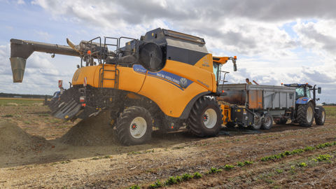 La New Holland CR7.90 est employée au battage des oignons et d'autres cultures porte-graines.