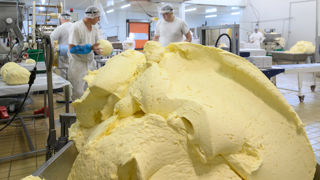 Les cours du beurre restent élevés mais enregistrent « un recul de 1 500 € la tonne en l’espace de deux mois et demi », selon le Cniel.