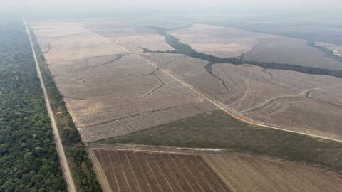 Le Parlement européen et le Conseil ont trouvé un accord pour reporter à nouveau et simplifier le règlement sur la déforestation importée.