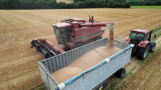 La FAO estime que la production mondiale de céréales pourrait dépasser les 3 milliards de tonnes pour la première fois.