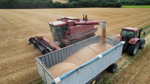 La FAO estime que la production mondiale de céréales pourrait dépasser les 3 milliards de tonnes pour la première fois.
