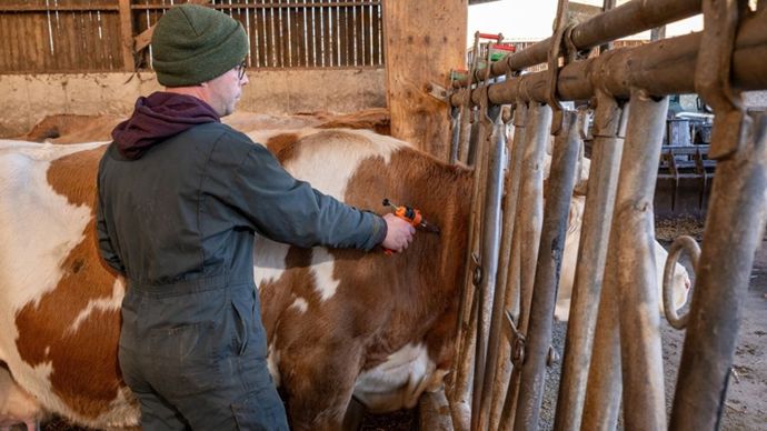 La nouvelle zone vaccinale couvre l'Aude, la Haute-Garonne, le Gers et les Pyrénées-Atlantiques. Les Landes font aussi l'objet de cette extension, a annoncé le Préfet des Pyrénées-Atlantiques.