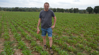 « La betterave se mérite, parce qu'il faut la suivre, mais ça vaut le coup pour le troupeau », expllique Gilles Brast.