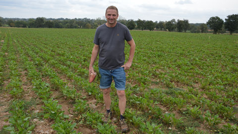 « La betterave se mérite, parce qu'il faut la suivre, mais ça vaut le coup pour le troupeau », expllique Gilles Brast.