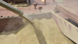 Le marché du blé tendre est largement approvisionné. Les fondamentaux limitent tout potentiel de rebond.