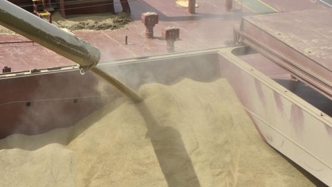 Le marché du blé tendre est largement approvisionné. Les fondamentaux limitent tout potentiel de rebond.