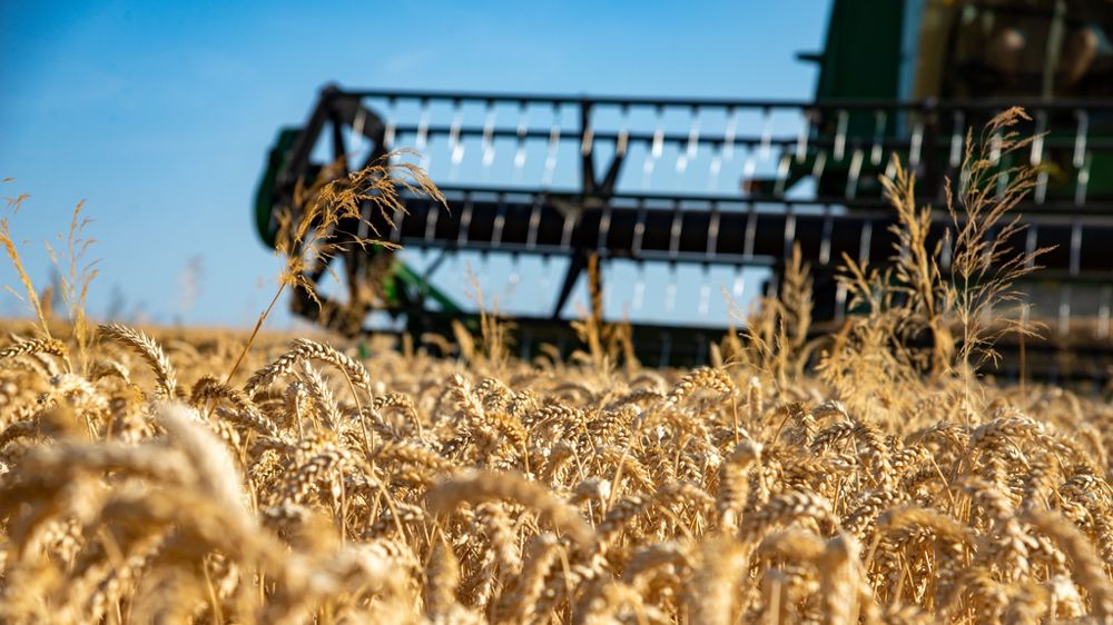 La valeur ajoutée de la production agricole a progressé en 2025 mais ce n'est pas grâce à la production céréalière qui subit un recul important des prix.