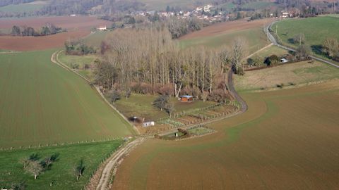 Agreste livre ses premières prévisions de surfaces des cultures d'hiver pour la campagne 2025/26.