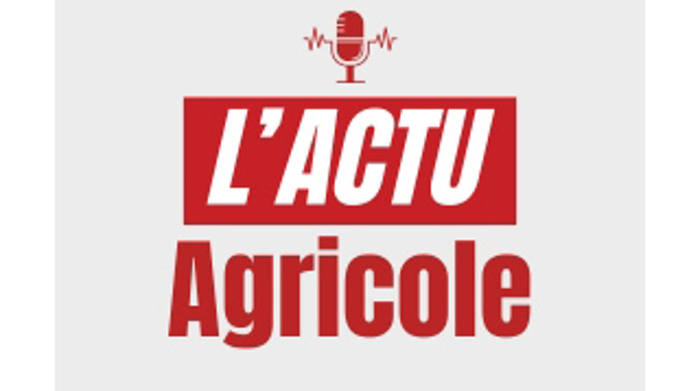 Le podcast du 16 décembre 2025