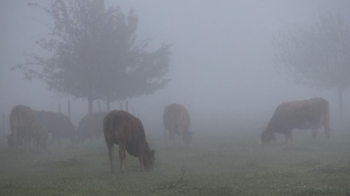 Pour la FNB et la FNPL, les éleveurs « ne doivent en aucun cas pâtir d’une
dévalorisation économique de leur production ».
