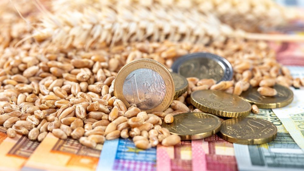 Epis et grains de blé pièces et billets en euros