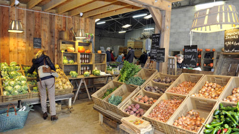 Le nombre de ménages acheteurs de fruits et légumes bio est passé de 20 % à 50 % en 20 ans, avec un pic en 2019.