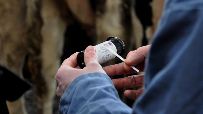 Test lait bandelettes Ketotest