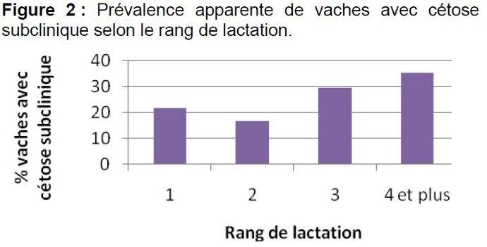 Cétose vaches laitières