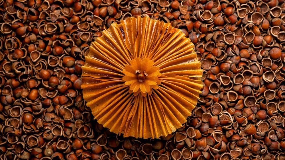 Épiphanie : les chefs pâtissiers couronnent d’originalité leurs galettes