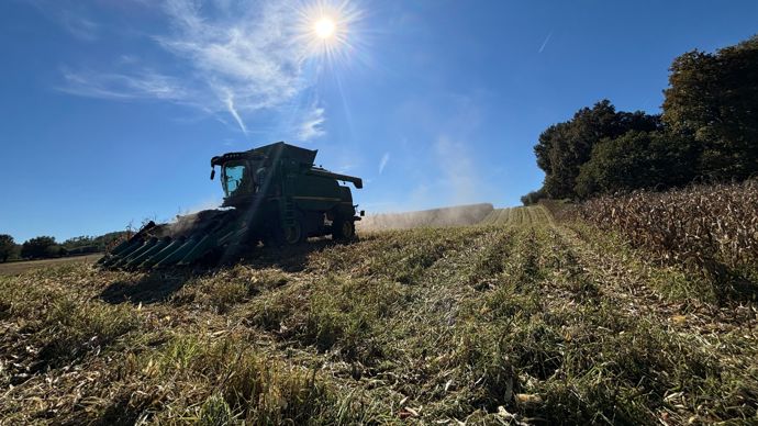 Lors de la récolte 2025, 38 adhérents de Maïsadour ont récolté 855 hectares de maïs produits en agriculture régénératrice.
