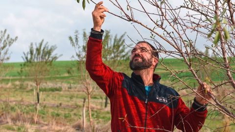 Alexandre Beauvallet