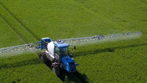 En complément des triazoles, les strobilurines, le fenpicoxamide ou les SDHI trouvent leur place au T2.