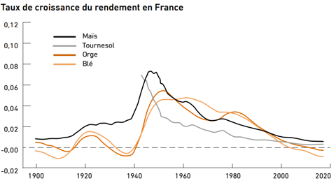 Taux de croissance du rendement en France